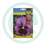 Sementes amor perfeito gigante suiço lilás centro negro