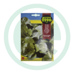 Sementes canónigo a grosse graine de hollande