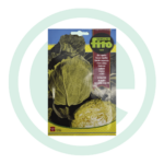 Sementes couve repolho - coração de boi pequeno