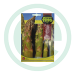 Sementes espargo mary washington