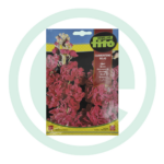 Sementes goivos quarantaine vermelhos