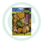 Sementes pimento habanero yellow