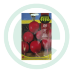 Sementes rabanete redondo rojo-vermell