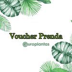 Voucher Prenda 30,00€
