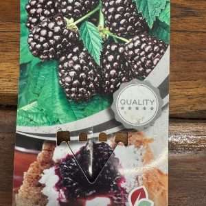 Rubus Idaeus - Framboesa Preta