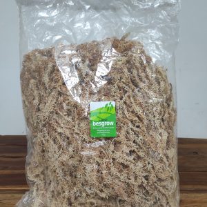 Musgo de Esfagno - 100 Gr.