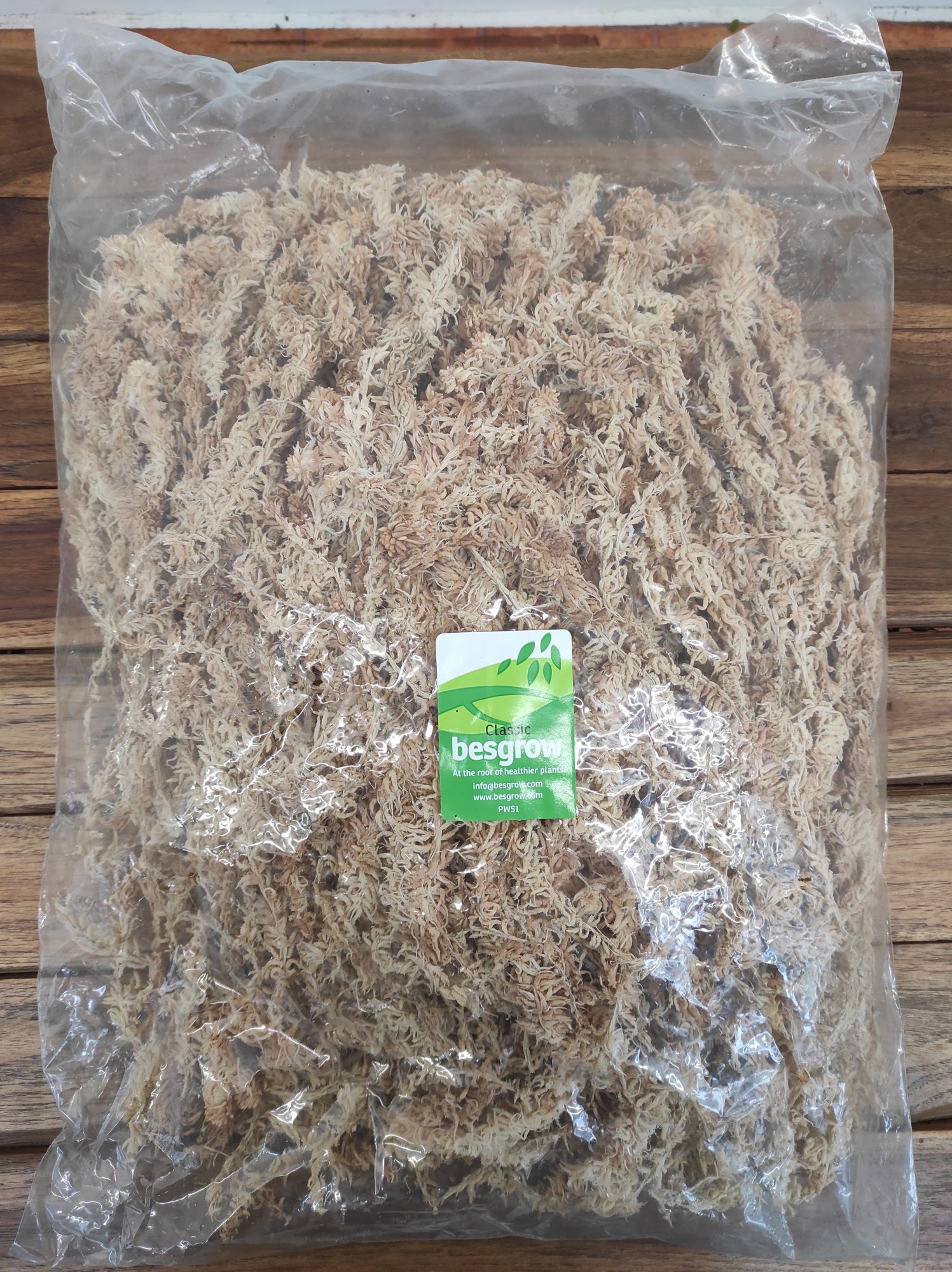 Musgo de Esfagno - 100 Gr. - Image 2