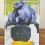 Iris Germanica 'Black Watch'