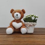 Urso Peluche C/ Kalanchoe