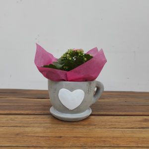 Chávena C/ Kalanchoe - V.15