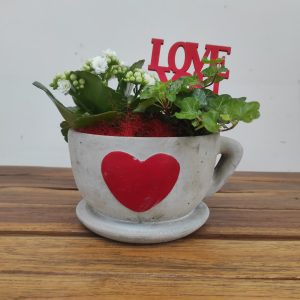 Chávena C/ Kalanchoe - V.19