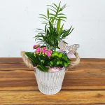 Vaso zinco C/ Plantas Naturais