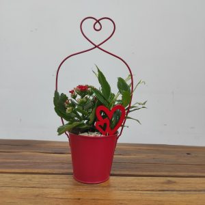 Vaso Vermelho C/ Plantas Naturais
