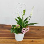 Vaso Branco C/ Plantas Naturais