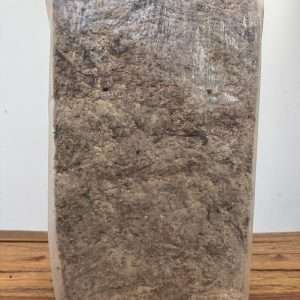 Esfagno 'Chilean Moss' - 5Kg