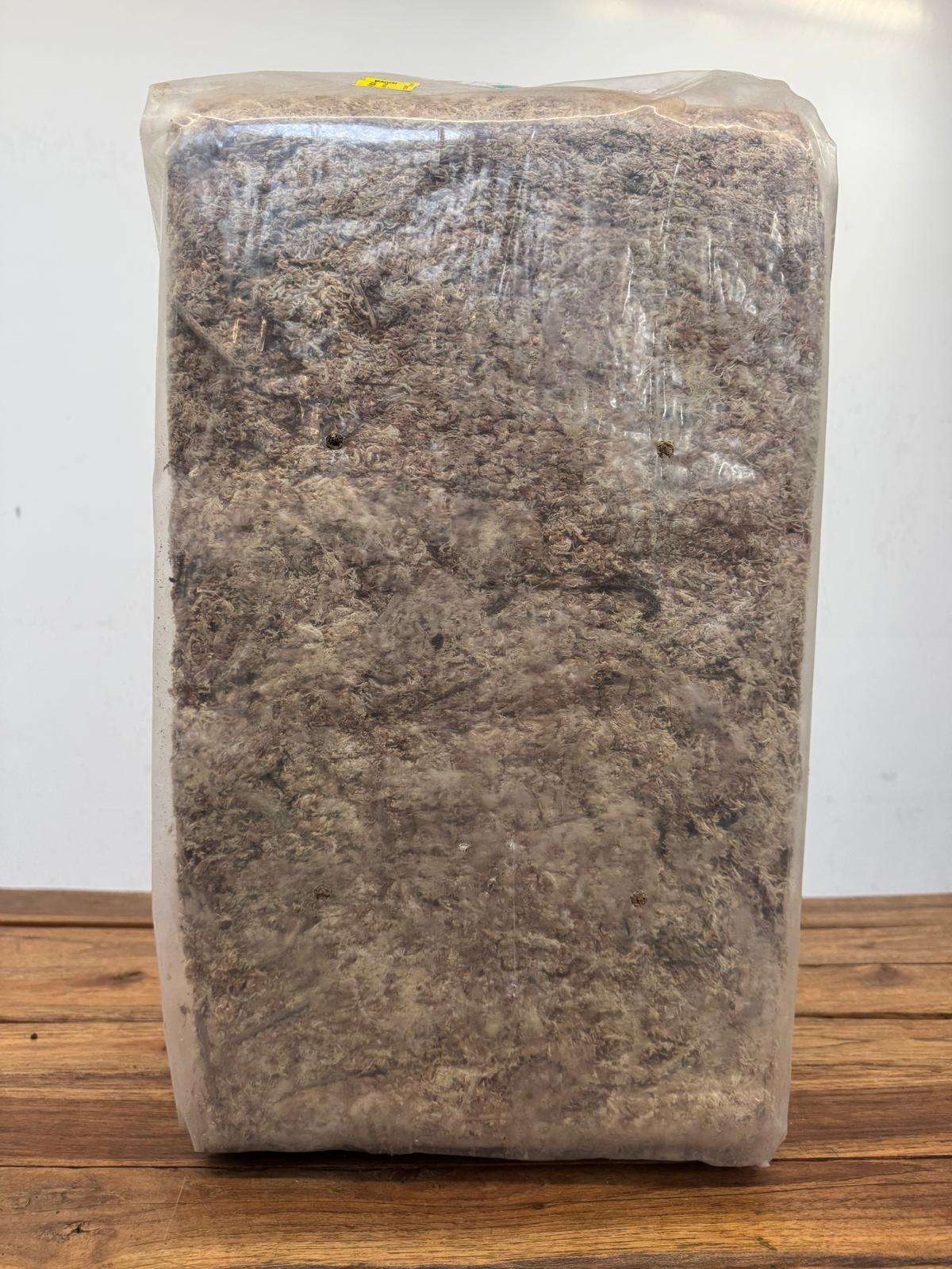 Esfagno 'Chilean Moss' - 5Kg